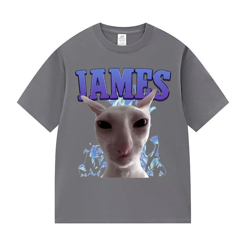 James IAMES Funny Cat Meme Tshirts Stupid Joke Gifts Cat Lover Short Sleeve Tshirt Unisex Women Fashion Oversized Cotton T Shirts 4XL
James IAMES Funny Cat Meme Tshirts Stupid Joke Gifts Cat Lover Short Sleeve Tshirt Unisex Women Fashion Oversized Cotton T Shirts 4XL
