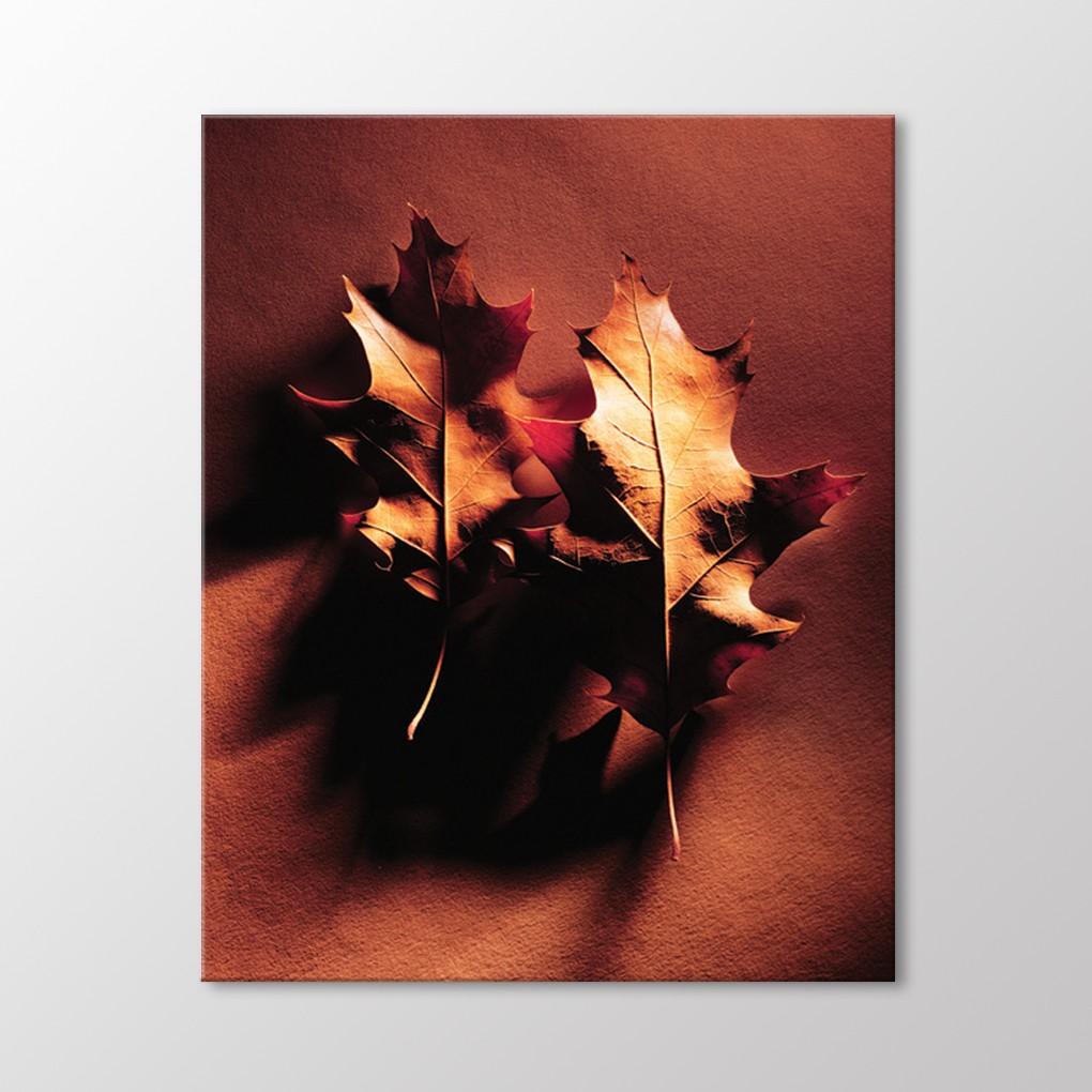 Платан оставляет стол
Платан оставляет стол