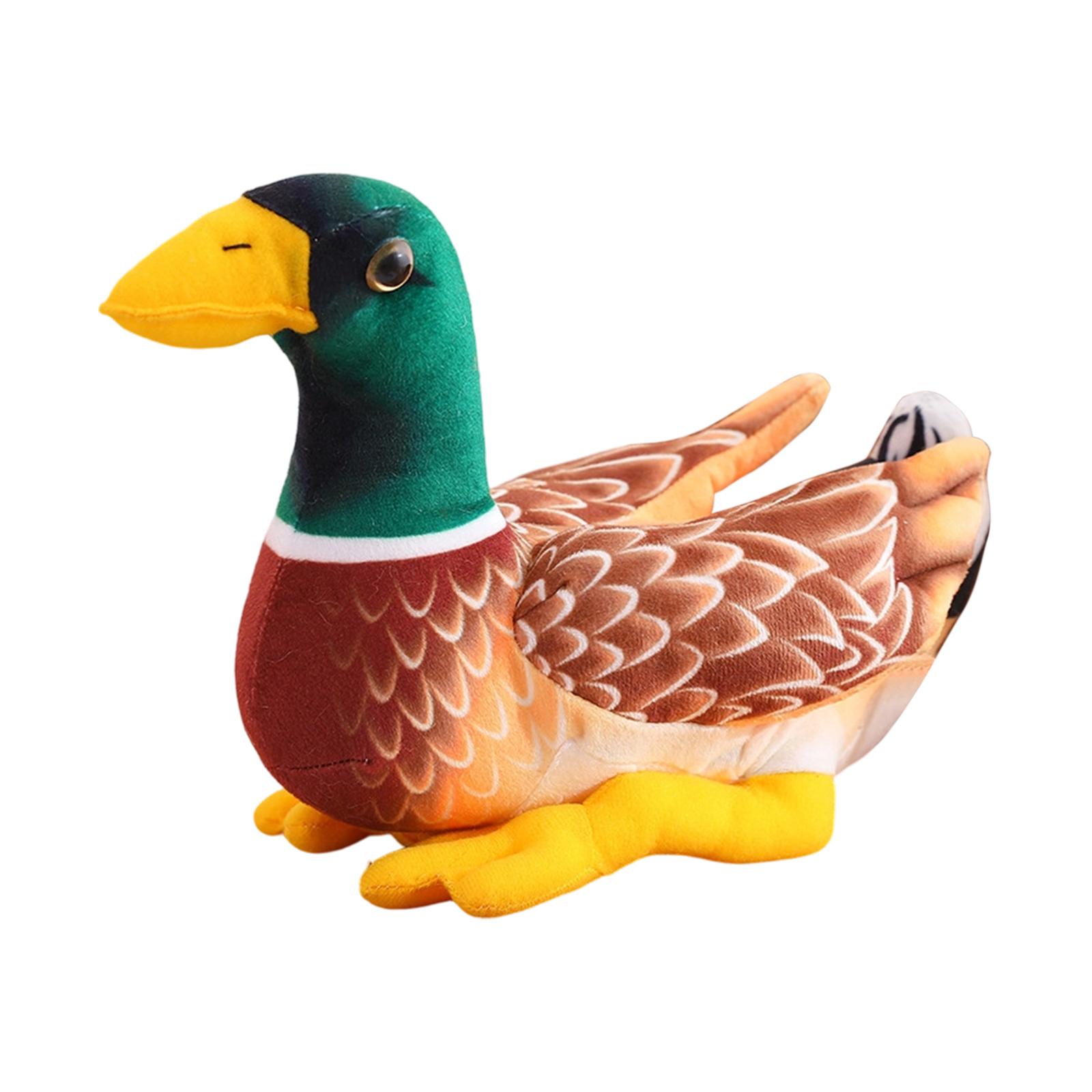 Realistic Plush Birds: Parrot, Peacock, , Flamingo, Swan — Zoo Animal Figurines One Size
Realistic Plush Birds: Parrot, Peacock, , Flamingo, Swan — Zoo Animal Figurines One Size