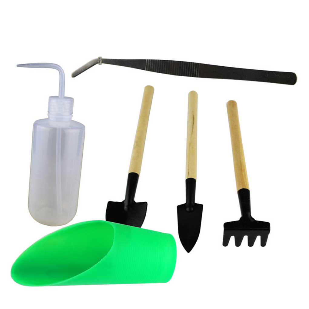 6Pcs/10Pcs/13Pcs Garden Hand Tools Transplanting Succulent Planting Gardening Garden Hand Tools Tools Set
6Pcs/10Pcs/13Pcs Garden Hand Tools Transplanting Succulent Planting Gardening Garden Hand Tools Tools Set