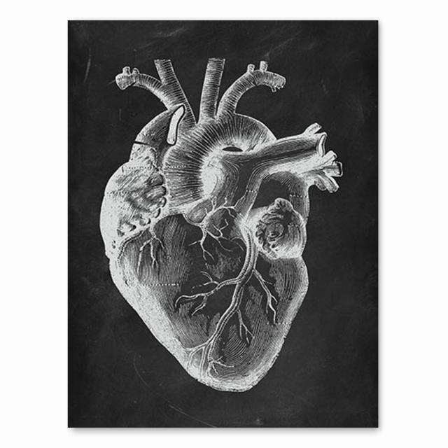 Анатомия человека, художественная работа, медицинская клиника, настенная картина, скелет, орган, мышечная система, винтажный холст с принтом, плакат для обучения телу, без рамки 30*40cm
Анатомия человека, художественная работа, медицинская клиника, настенная картина, скелет, орган, мышечная система, винтажный холст с принтом, плакат для обучения телу, без рамки 30*40cm