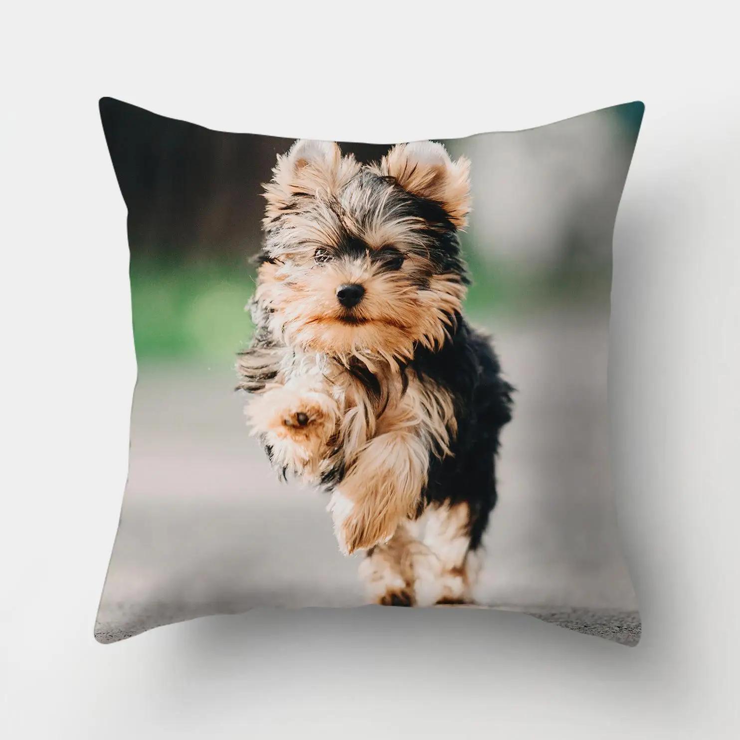 1 шматок Собачий візерунок Наволочка для дивана Домашній декор Автомобіль Офісне приладдя Подушка для вулиці 22x22Inch
1 шматок Собачий візерунок Наволочка для дивана Домашній декор Автомобіль Офісне приладдя Подушка для вулиці 22x22Inch