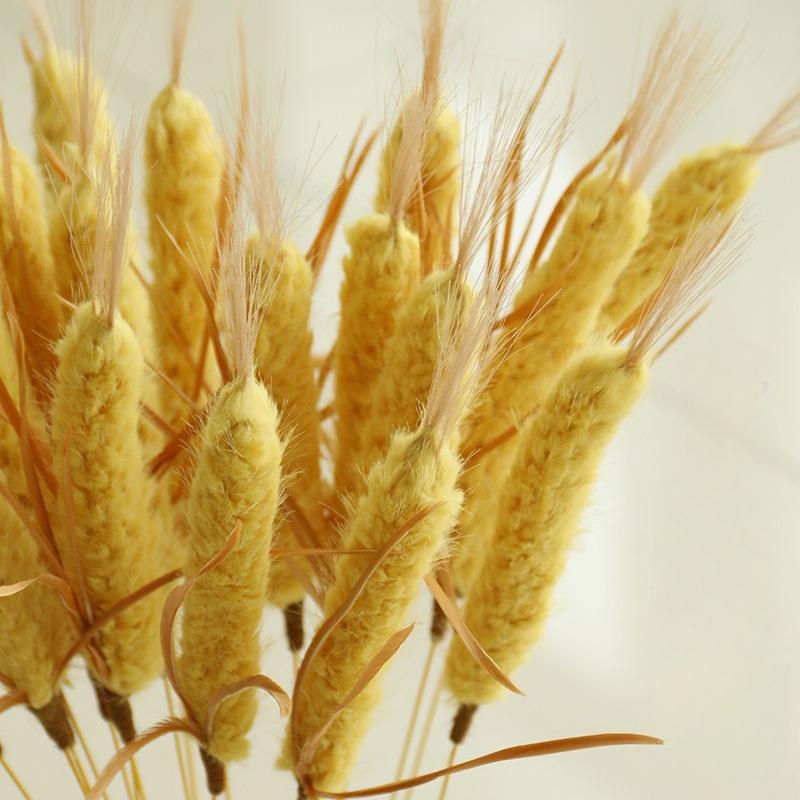 Игрушка-дразнилка для кошек, устойчивая к укусам, соломенная, с колокольчиком, игрушка для котенка, дразнилка с перьями, кошачьи аксессуары
Игрушка-дразнилка для кошек, устойчивая к укусам, соломенная, с колокольчиком, игрушка для котенка, дразнилка с перьями, кошачьи аксессуары