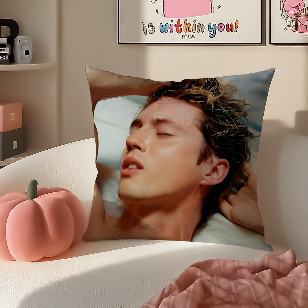 TTroye Sivan Cushion Cover Pillowcase Short Plush Invisible zipper Room Sofa Cushion Cover 30X30cm
TTroye Sivan Cushion Cover Pillowcase Short Plush Invisible zipper Room Sofa Cushion Cover 30X30cm