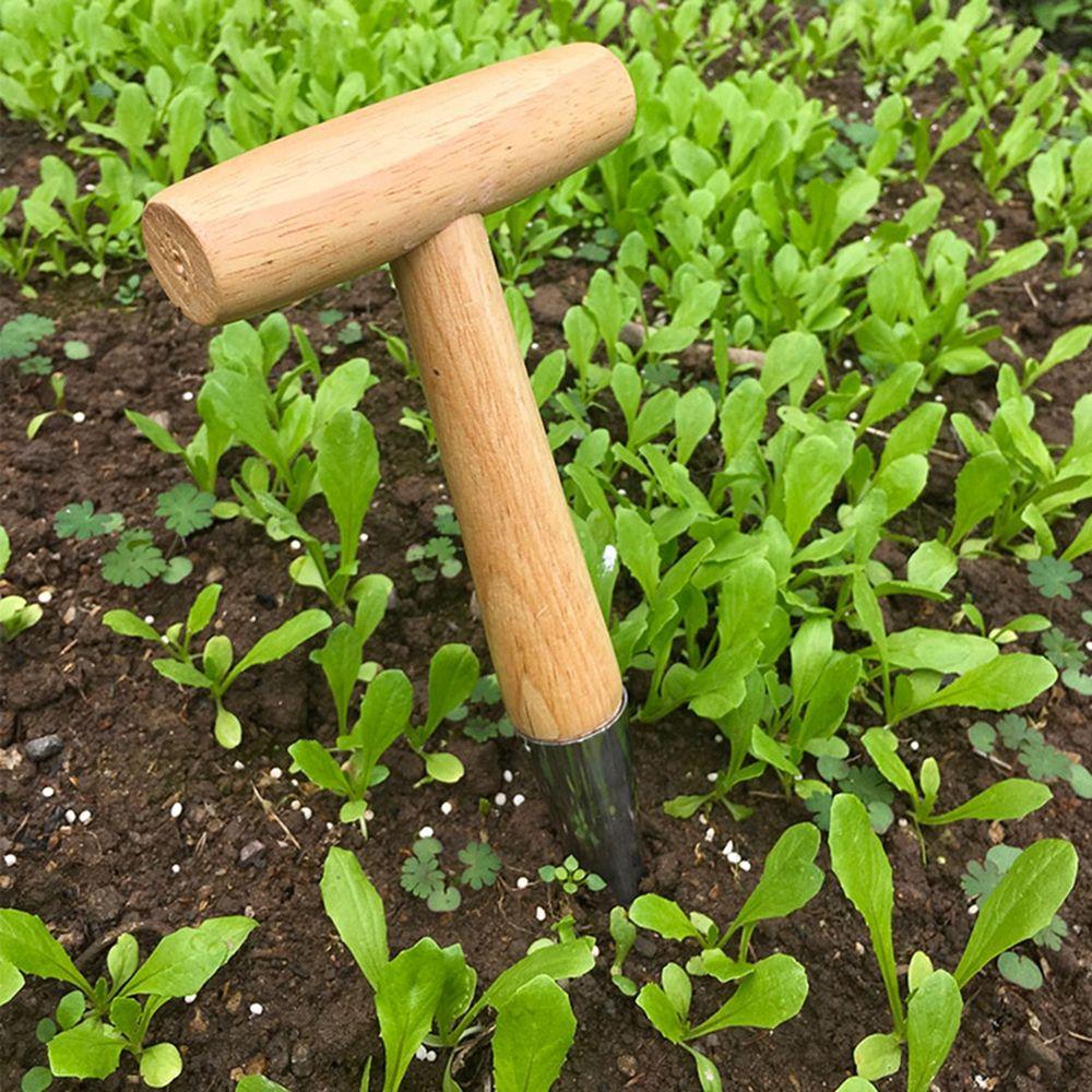 with Wooden Handle Daffodil for Tulip Hand Dibber Planter Supplies Garden Tool Bulb Planter 28x11.5cm
with Wooden Handle Daffodil for Tulip Hand Dibber Planter Supplies Garden Tool Bulb Planter 28x11.5cm