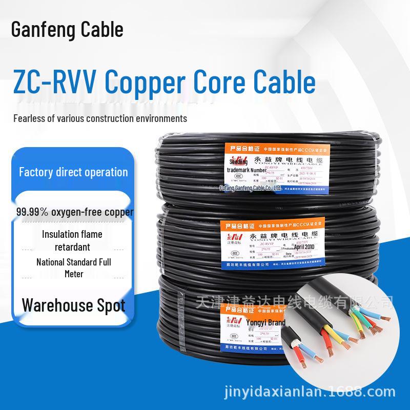 RVV Sheath Cable: Pure Copper Signal & Power Wire - 2, 3, 4 Core Options, 1.5/2.5 sq mm 2x0.5mm
RVV Sheath Cable: Pure Copper Signal & Power Wire - 2, 3, 4 Core Options, 1.5/2.5 sq mm 2x0.5mm
