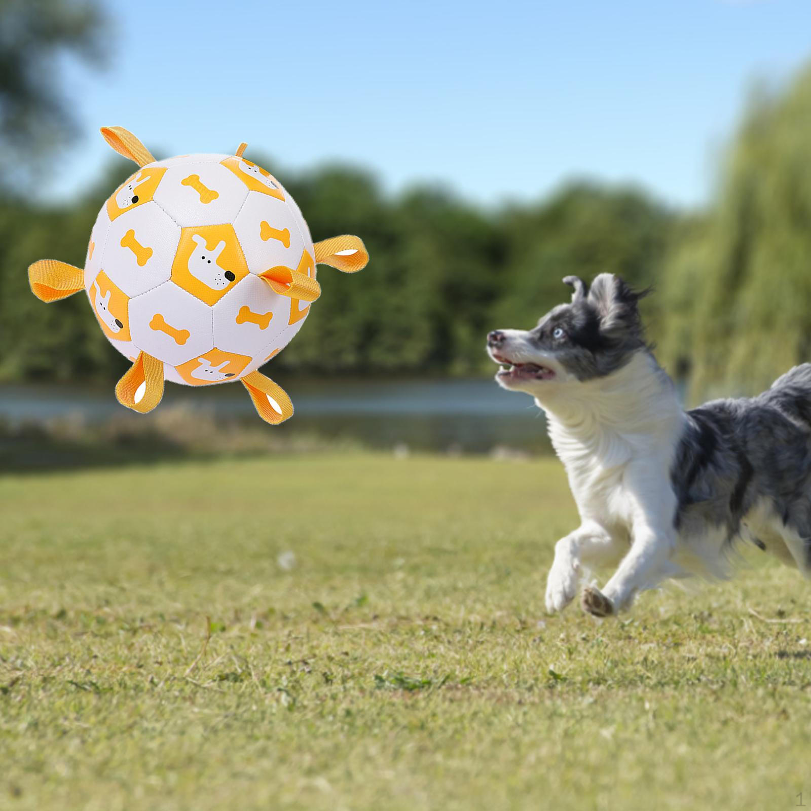 Dog Soccer Ball Pet Chew Toys Catch Tabs Cleaning Tug of War Training Interactive Football for S
Dog Soccer Ball Pet Chew Toys Catch Tabs Cleaning Tug of War Training Interactive Football for S