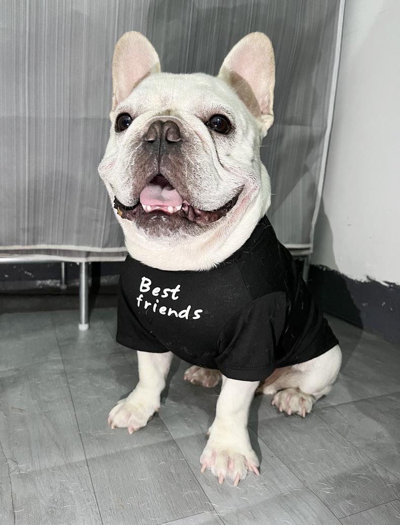 Bulldog & Pug Round Neck T-shirt: Pet Clothes for Frenchies, English Bulldogs, Shar Peis Large
Bulldog & Pug Round Neck T-shirt: Pet Clothes for Frenchies, English Bulldogs, Shar Peis Large