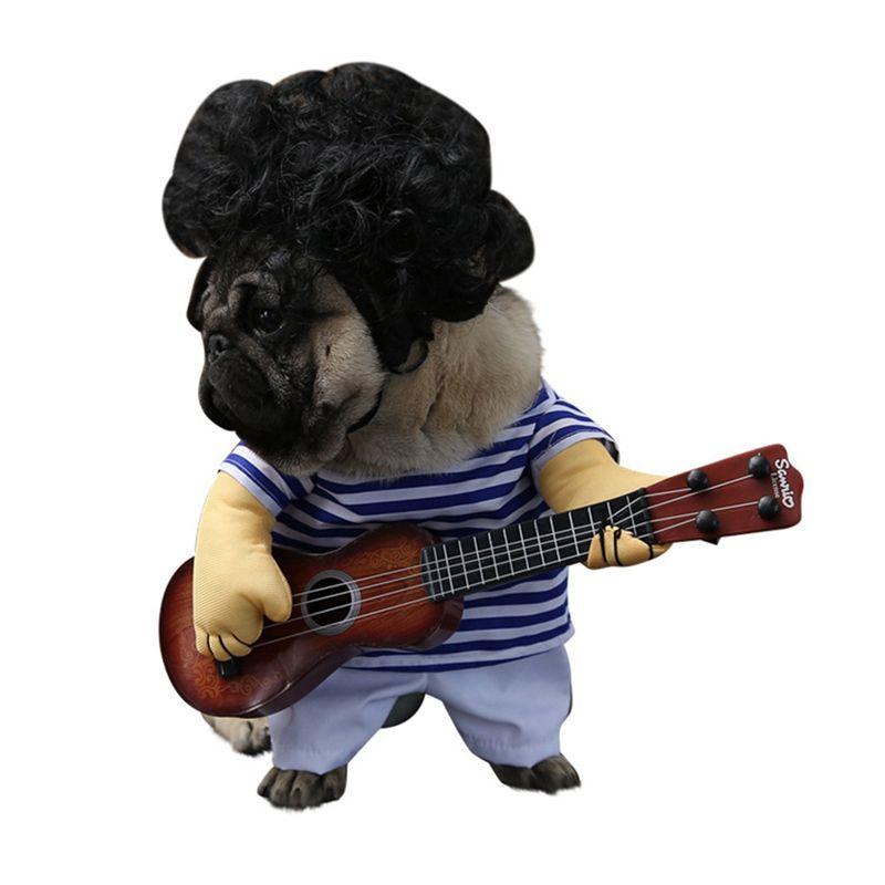 Clothesdog Clothes Guitar Clothingcat And Dog Pet Clothingstanding Transformation Clothesfunny Clothes
Clothesdog Clothes Guitar Clothingcat And Dog Pet Clothingstanding Transformation Clothesfunny Clothes