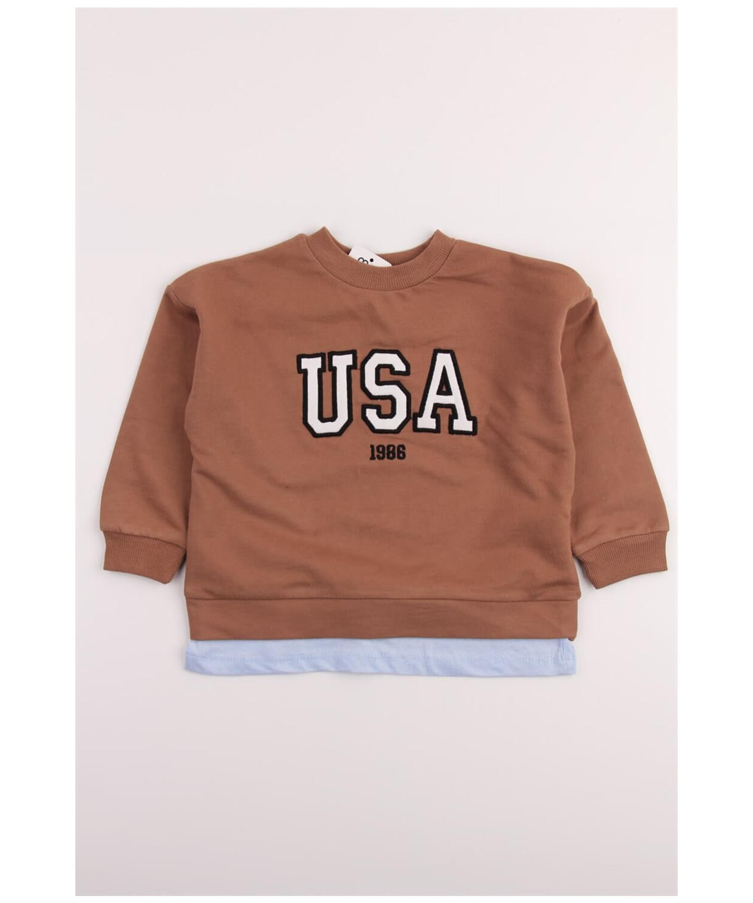 Коричневая толстовка оверсайз с вышивкой USA
Коричневая толстовка оверсайз с вышивкой USA