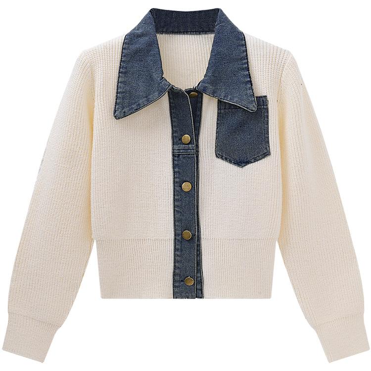 Корейский стиль свободный свитер женский осенний джинсовый пэчворк вязаный топ куртка XL белый
Корейский стиль свободный свитер женский осенний джинсовый пэчворк вязаный топ куртка XL белый