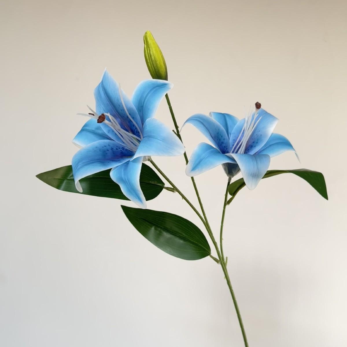 2 Heads Film Lily Artificial Flowers Fake Floral for Home Wedding Table Decor Ornament синий
2 Heads Film Lily Artificial Flowers Fake Floral for Home Wedding Table Decor Ornament синий