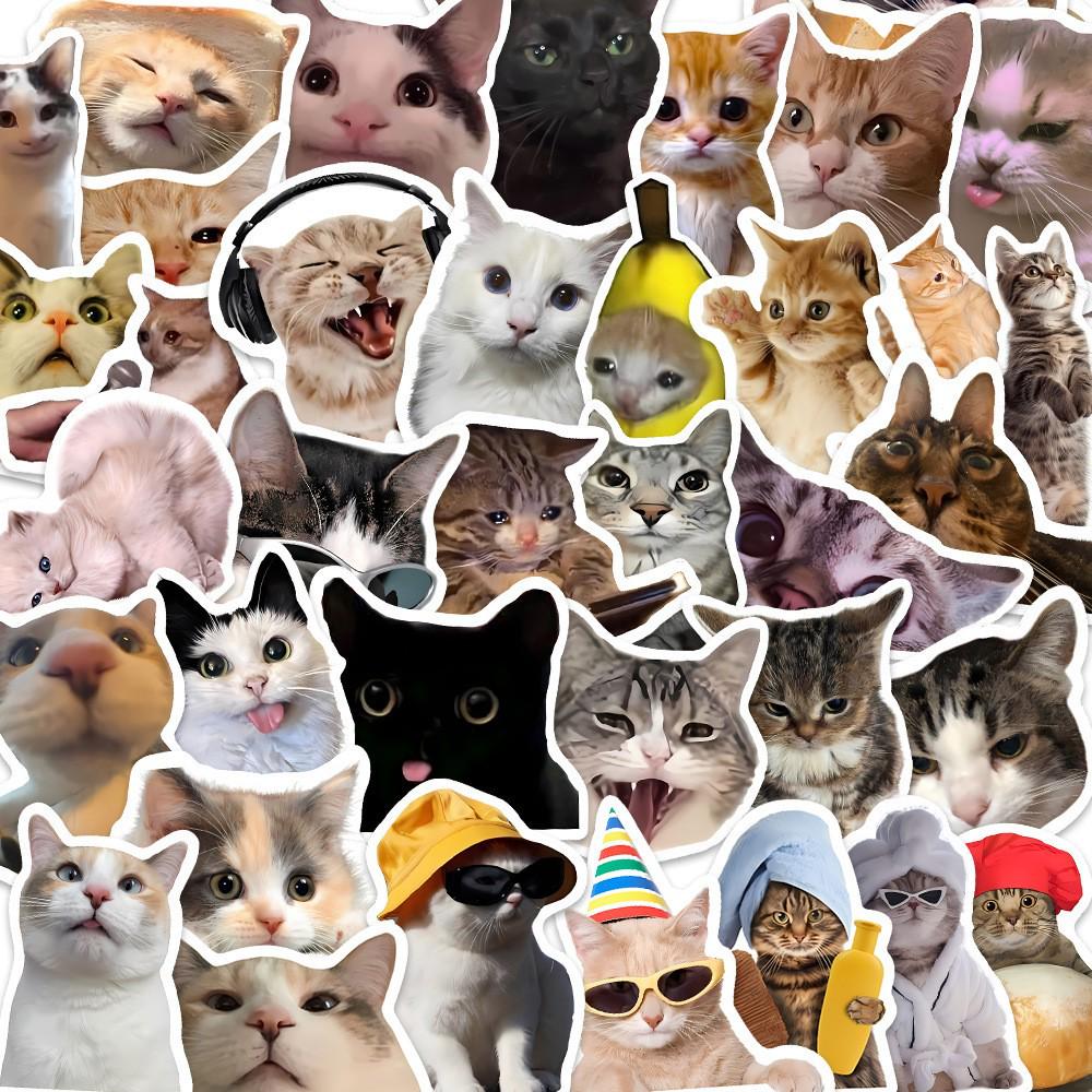 50 Cute Cat Stickers for Water Bottles, Phone Cases, Journals, Luggage, and DIY Projects - Creative and Waterproof B006
50 Cute Cat Stickers for Water Bottles, Phone Cases, Journals, Luggage, and DIY Projects - Creative and Waterproof B006