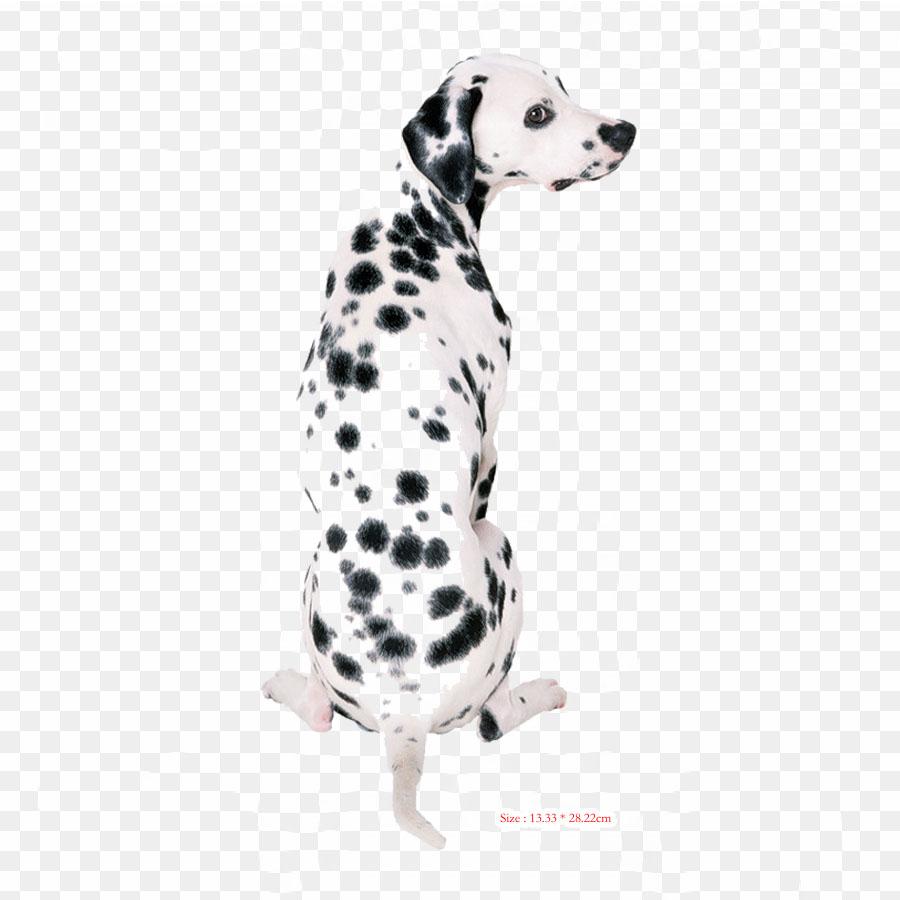 Собака далматин, термотрансферная печать, виниловые нашивки, наклейки для одежды, аппликации «сделай сам», моющиеся нашивки
Собака далматин, термотрансферная печать, виниловые нашивки, наклейки для одежды, аппликации «сделай сам», моющиеся нашивки