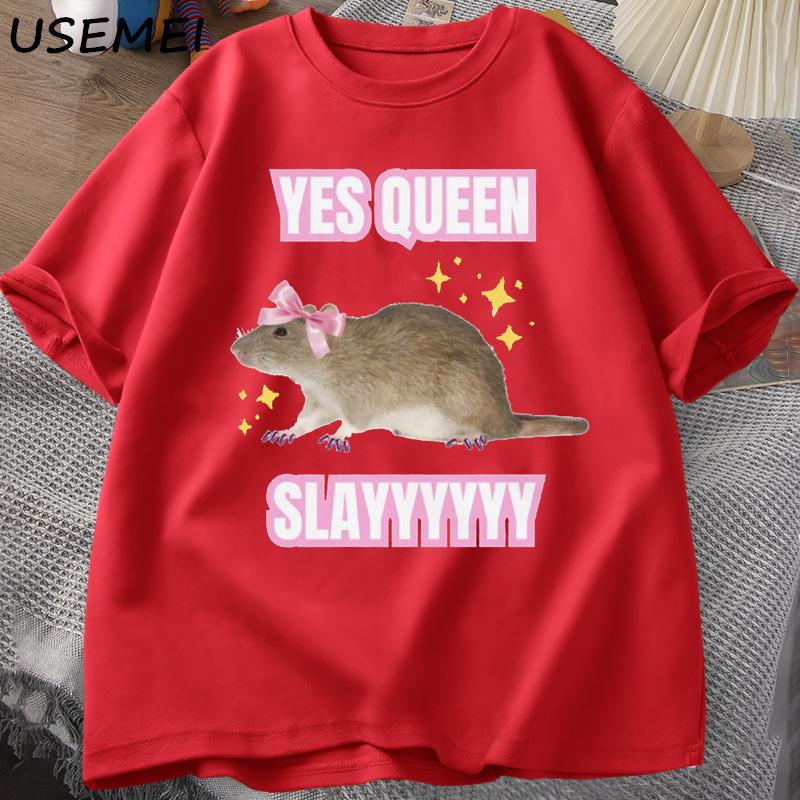 Yas Queen Slay T Shirt Humor Funny Cotton Short Sleeve Rat TShirt Unisexs Clothing Harajuku Retro Oversized Cotton T Shirt XL
Yas Queen Slay T Shirt Humor Funny Cotton Short Sleeve Rat TShirt Unisexs Clothing Harajuku Retro Oversized Cotton T Shirt XL