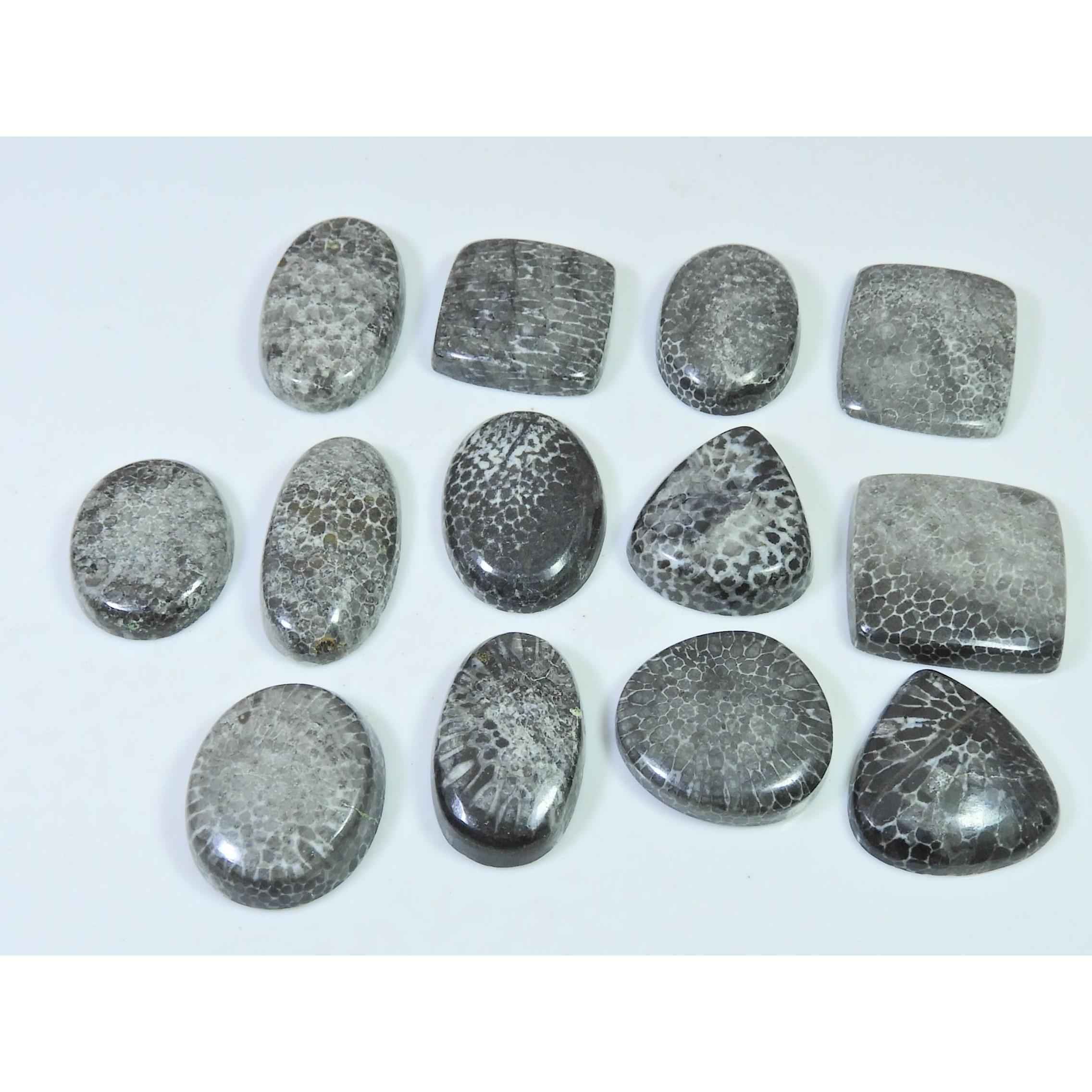 260Cts. Natural Black Fossil Coral Mix Cabochon Loose Gemstone 13 Pcs Lot C-634
260Cts. Natural Black Fossil Coral Mix Cabochon Loose Gemstone 13 Pcs Lot C-634