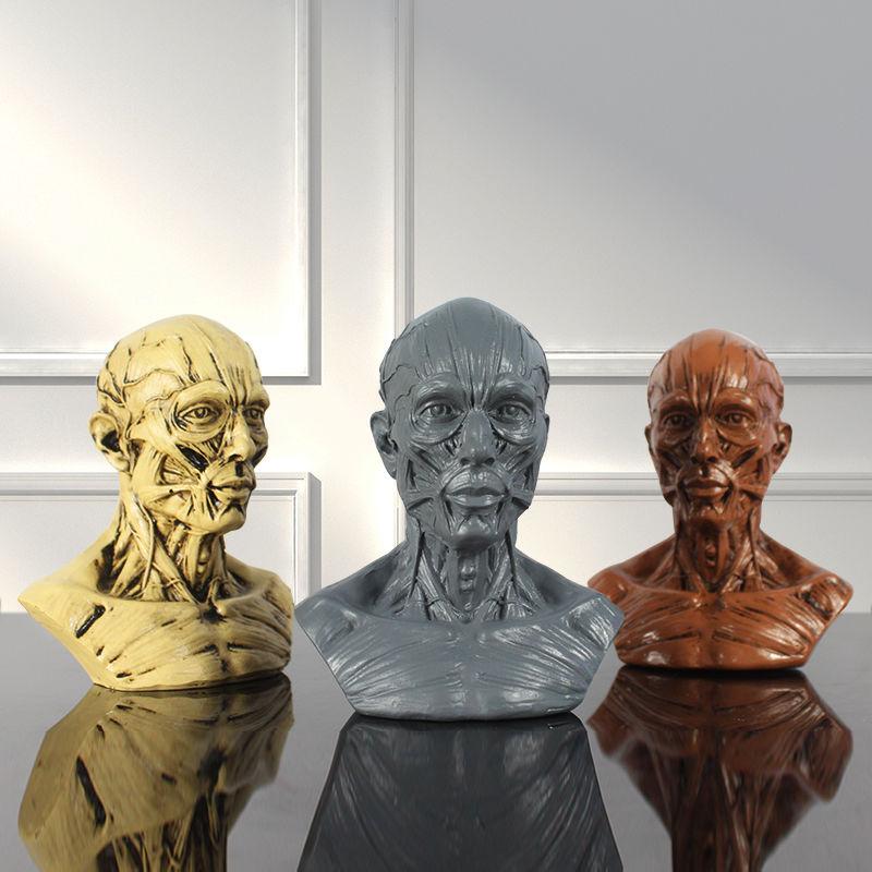 1:3 Art Human Musculoskeletal Head Carving Skull Painting Reference Bust Anatomical Model Ornament Gift Home Decoration 5 kinds
1:3 Art Human Musculoskeletal Head Carving Skull Painting Reference Bust Anatomical Model Ornament Gift Home Decoration 5 kinds