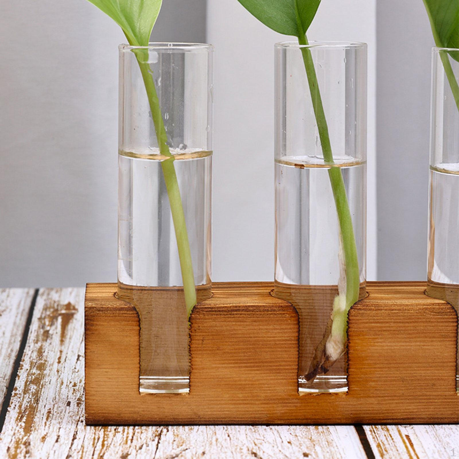 Plant Terrarium Propagation Station Desk Decor, Water Plants Holder, Wooden Base 5 Glass Test Tubes
Plant Terrarium Propagation Station Desk Decor, Water Plants Holder, Wooden Base 5 Glass Test Tubes