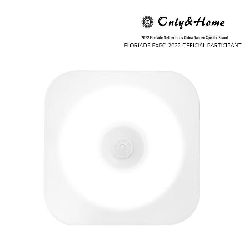 Magnetic & Stick-on Motion Sensor LED Light
Magnetic & Stick-on Motion Sensor LED Light
