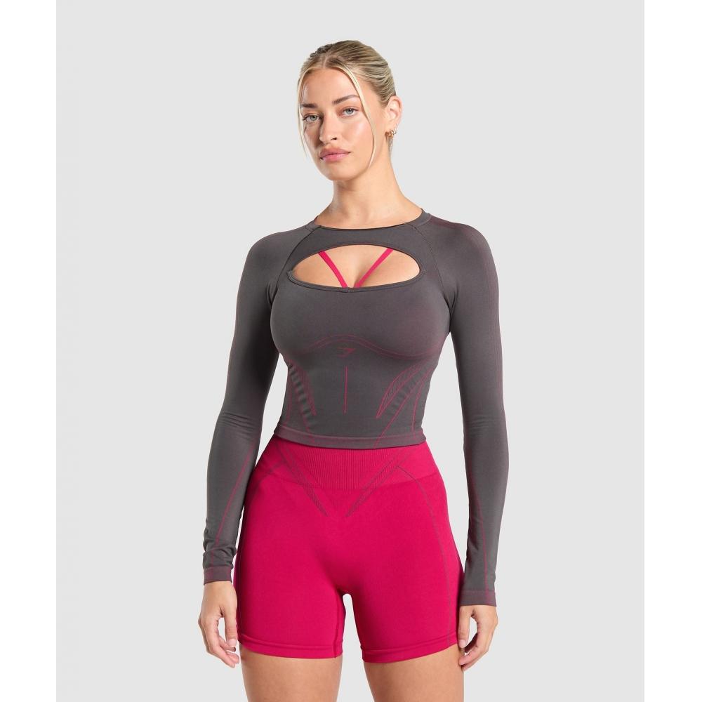 Gymshark Apex Contrast Long Sleeve Top Asphalt Grey Build Pink Null B1b7n Gcwm XS
Gymshark Apex Contrast Long Sleeve Top Asphalt Grey Build Pink Null B1b7n Gcwm XS
