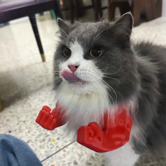 Cat Muscle Arm 3D Printed Superhero Cosplay Cat Neck Arm with Muscle for Kitten Cat Halloween Costume Accessories червоний
Cat Muscle Arm 3D Printed Superhero Cosplay Cat Neck Arm with Muscle for Kitten Cat Halloween Costume Accessories червоний