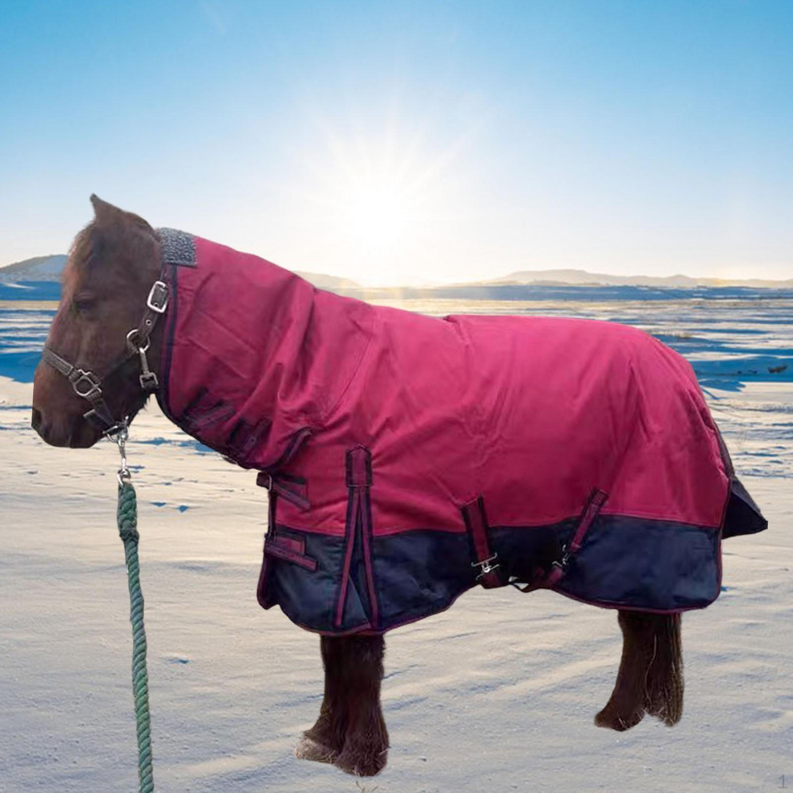 Horse Winter Turnout Blanket 600D Oxford with Hood Keep Resistant Sheet Waterproof Equestrian Burgundy Navy Blue L
Horse Winter Turnout Blanket 600D Oxford with Hood Keep Resistant Sheet Waterproof Equestrian Burgundy Navy Blue L