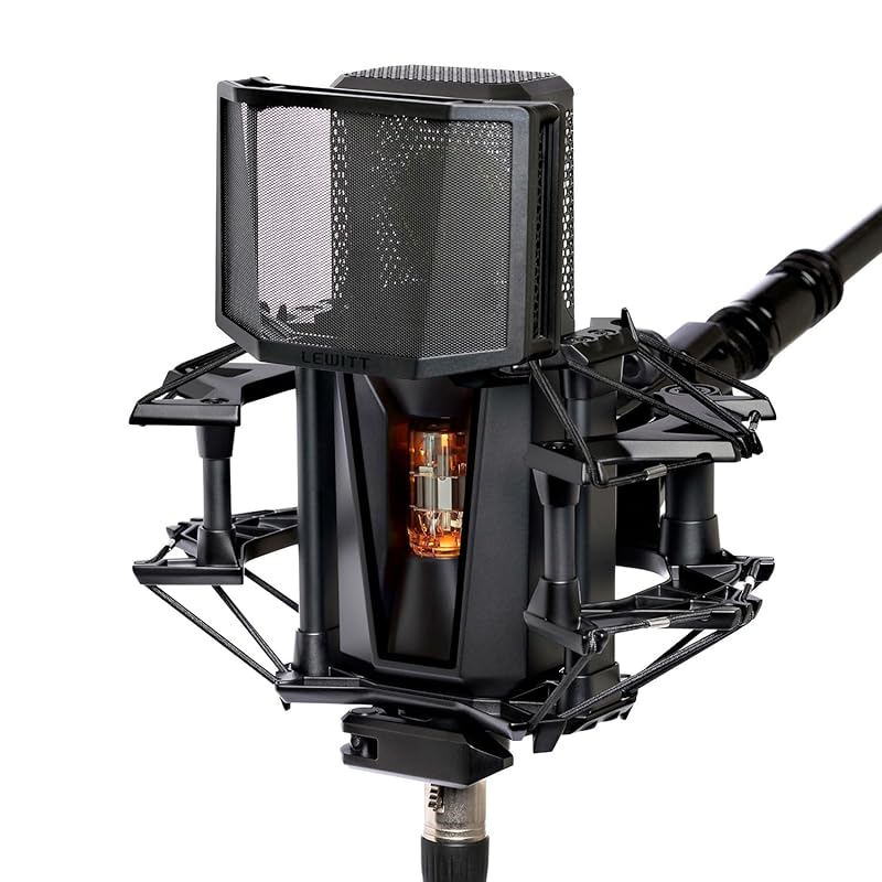 LEWITT PURE TUBE STUDIO set Louitt condenser tube microphone vacuum tube recording Ultra low noise floor cardioid high end 10 year warranty
LEWITT PURE TUBE STUDIO set Louitt condenser tube microphone vacuum tube recording Ultra low noise floor cardioid high end 10 year warranty