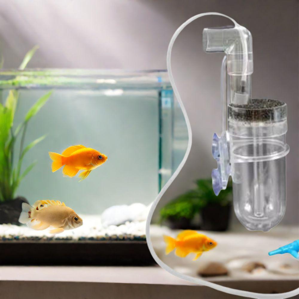 Plastic Shrimps Eggs Incubator Wall Mounted Cichlid Hatchery 60MM Fish Egg Incubator for Home
Plastic Shrimps Eggs Incubator Wall Mounted Cichlid Hatchery 60MM Fish Egg Incubator for Home