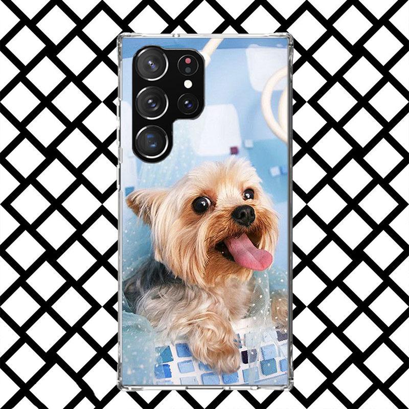 Yorkshire Terrier Dog Phone Case for Samsung Galaxy S26 S25 Edge S24 S23 Ultra S22 Plus S21 FE S20 + Soft Cover Print Fundas Gal Samsung S21 Plus
Yorkshire Terrier Dog Phone Case for Samsung Galaxy S26 S25 Edge S24 S23 Ultra S22 Plus S21 FE S20 + Soft Cover Print Fundas Gal Samsung S21 Plus