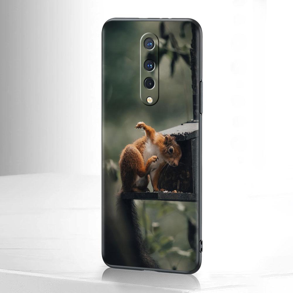 Мягкий чехол для OnePlus 8T 7 9 8 Pro Nord 2 Z N10 5G 9R N100 7T 6T N200 CE черный силиконовый чехол для телефона с изображением портрета животного OnePlus Nord Z
Мягкий чехол для OnePlus 8T 7 9 8 Pro Nord 2 Z N10 5G 9R N100 7T 6T N200 CE черный силиконовый чехол для телефона с изображением портрета животного OnePlus Nord Z