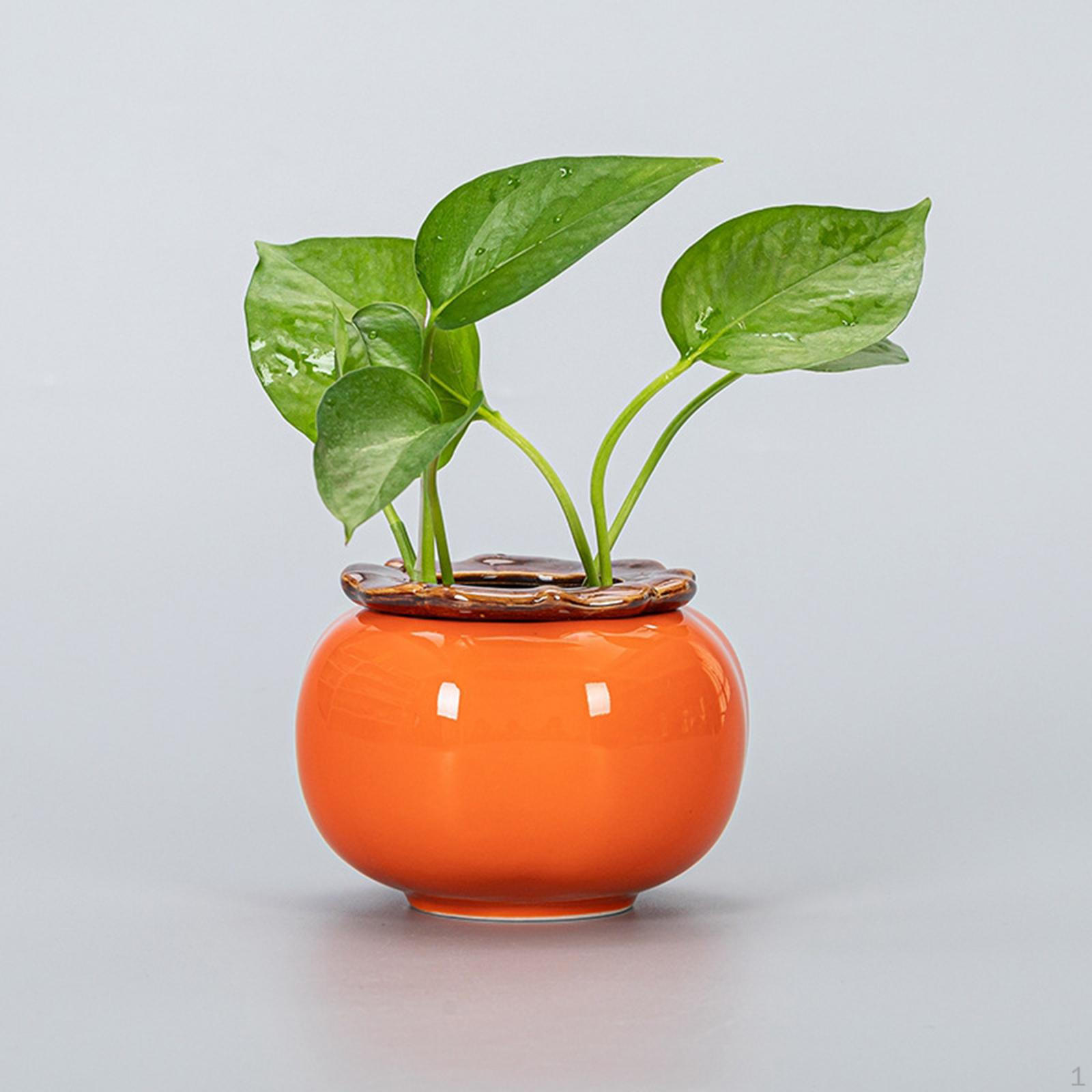 Ceramic Flower Pot Hydroponic Plants Bud Vase Decors Desktop Planter Persimmon Vases for 8.2cmx11cm
Ceramic Flower Pot Hydroponic Plants Bud Vase Decors Desktop Planter Persimmon Vases for 8.2cmx11cm