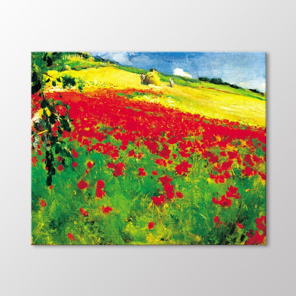 Маки Пейзаж, 1887 Живопись
Маки Пейзаж, 1887 Живопись