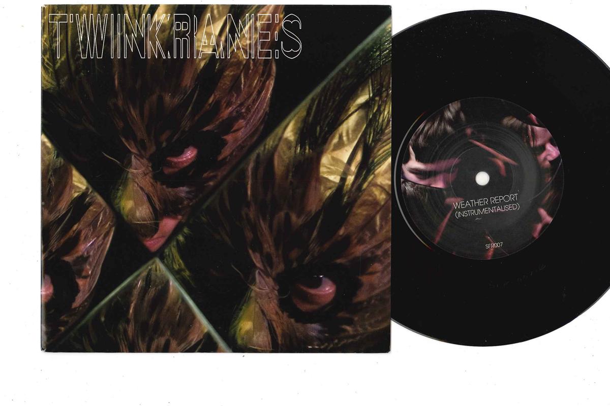 7inch Record TWINKRANES - Plateaux Of Mirror SFR007 SOUND FOUNDATIO 2006 UK Rock Used
7inch Record TWINKRANES - Plateaux Of Mirror SFR007 SOUND FOUNDATIO 2006 UK Rock Used