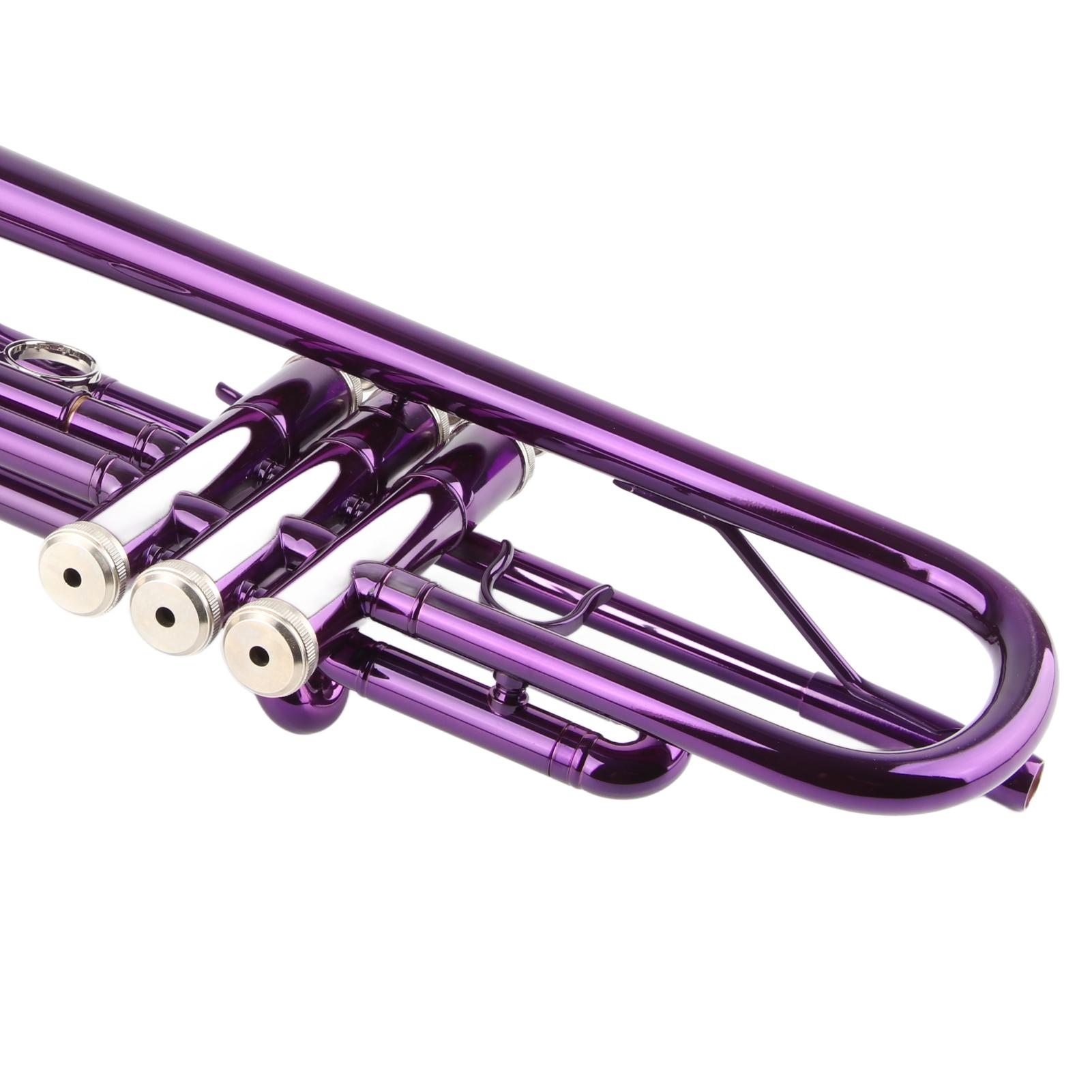 Trumpet Set B Flat Brass Replacement Musical Instrument Accessories with Storage Bag
Trumpet Set B Flat Brass Replacement Musical Instrument Accessories with Storage Bag
