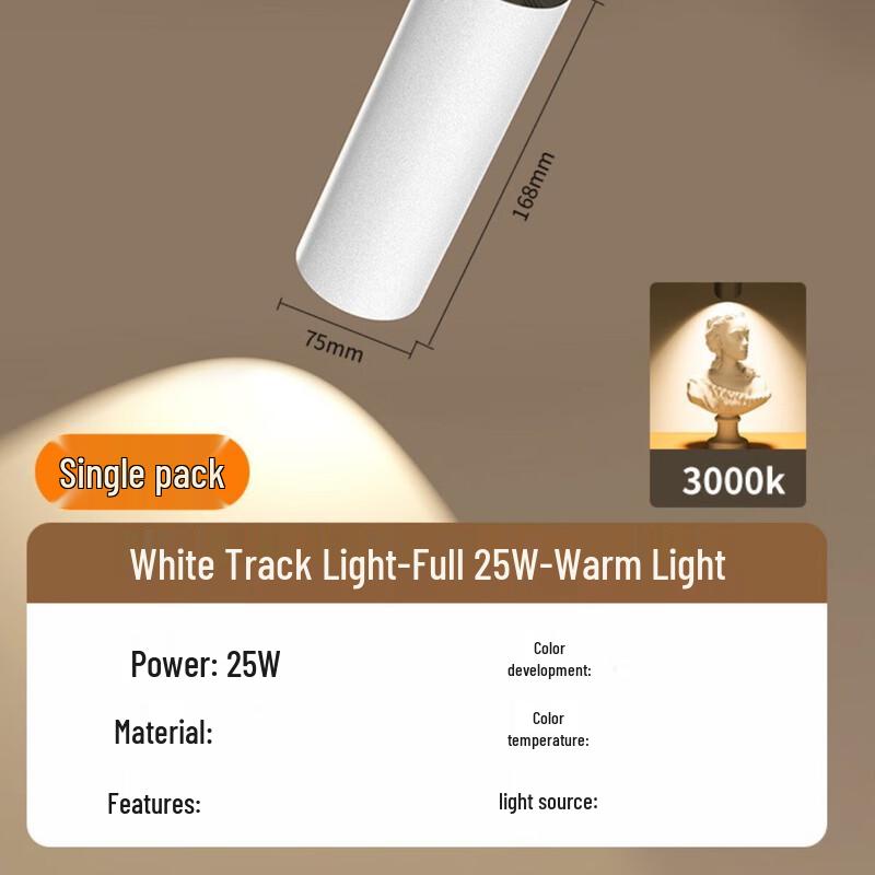 Retail Store LED Track Light
Retail Store LED Track Light