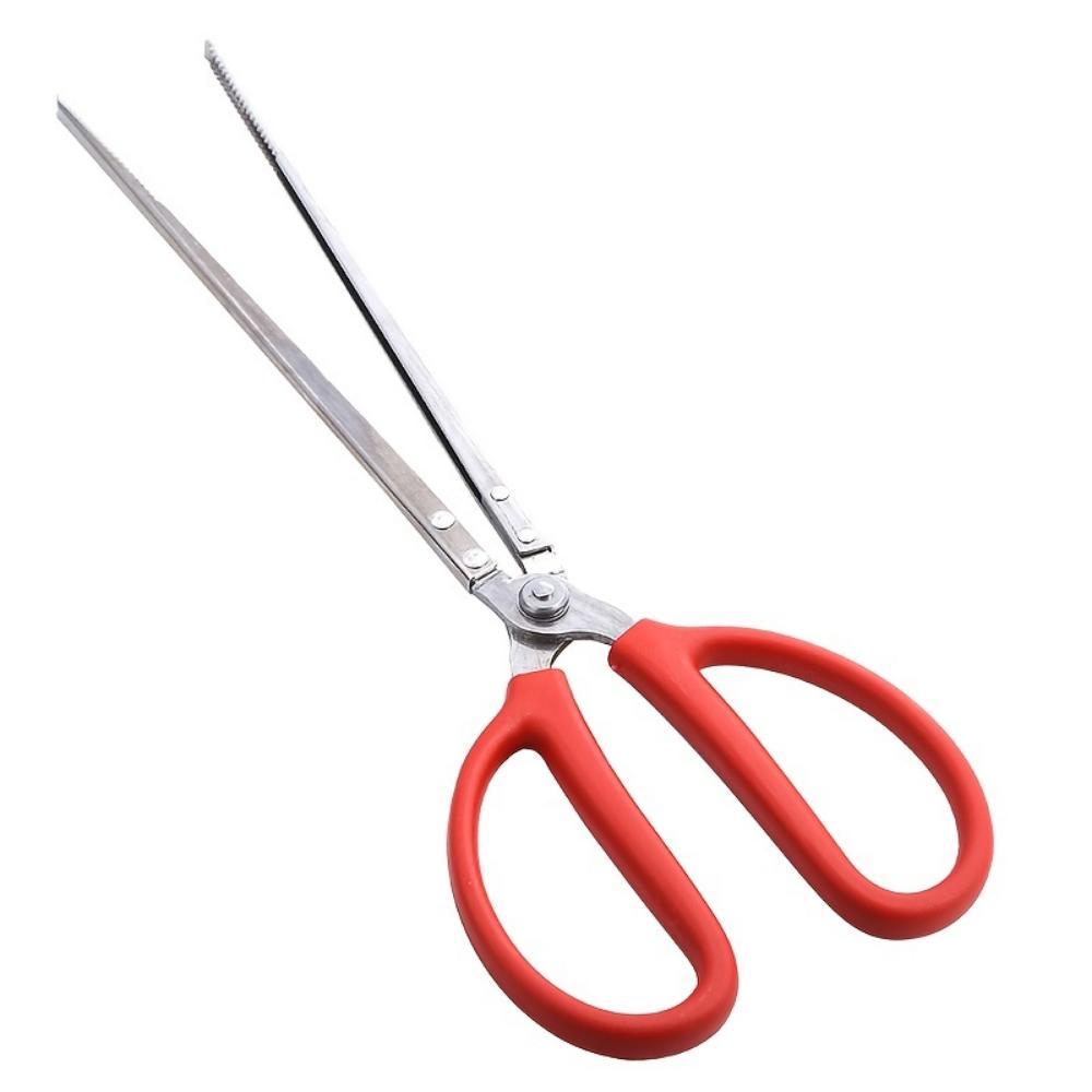 Прочные рыболовные плоскогубцы из нержавеющей стали, многофункциональные ножницы с нескользящим зажимом и пластиковой ручкой для ловли крабов и креветок
Прочные рыболовные плоскогубцы из нержавеющей стали, многофункциональные ножницы с нескользящим зажимом и пластиковой ручкой для ловли крабов и креветок