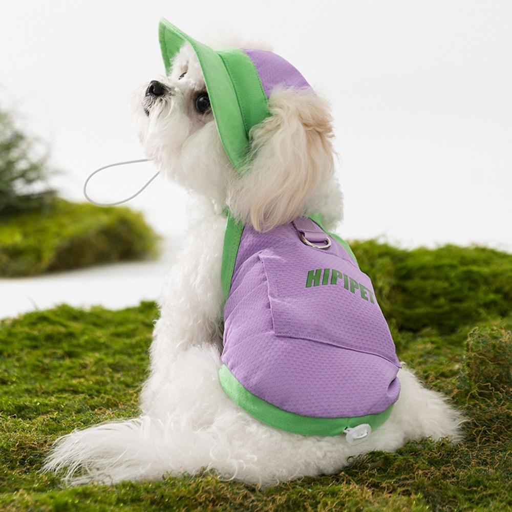 Дихаючий Одяг для Цуценят Зручний Жилет для Собаки Новий Літній Одяг для Собаки Для Вулиці XXL фіолетовий
Дихаючий Одяг для Цуценят Зручний Жилет для Собаки Новий Літній Одяг для Собаки Для Вулиці XXL фіолетовий