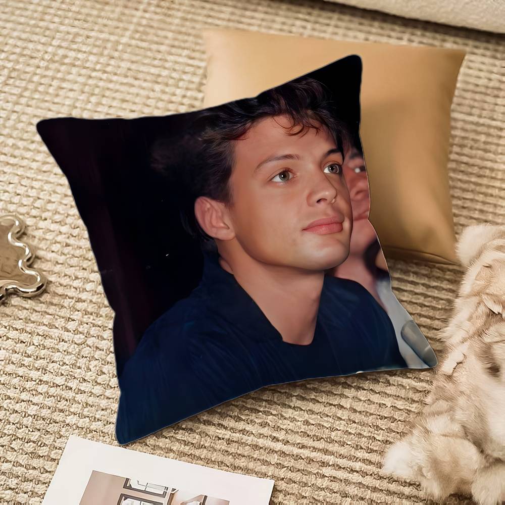 Singer LLuis MMiguel Pillow Case Antidustmite Pillowcase Invisible zipper silky plush Sofa 30X30cm
Singer LLuis MMiguel Pillow Case Antidustmite Pillowcase Invisible zipper silky plush Sofa 30X30cm