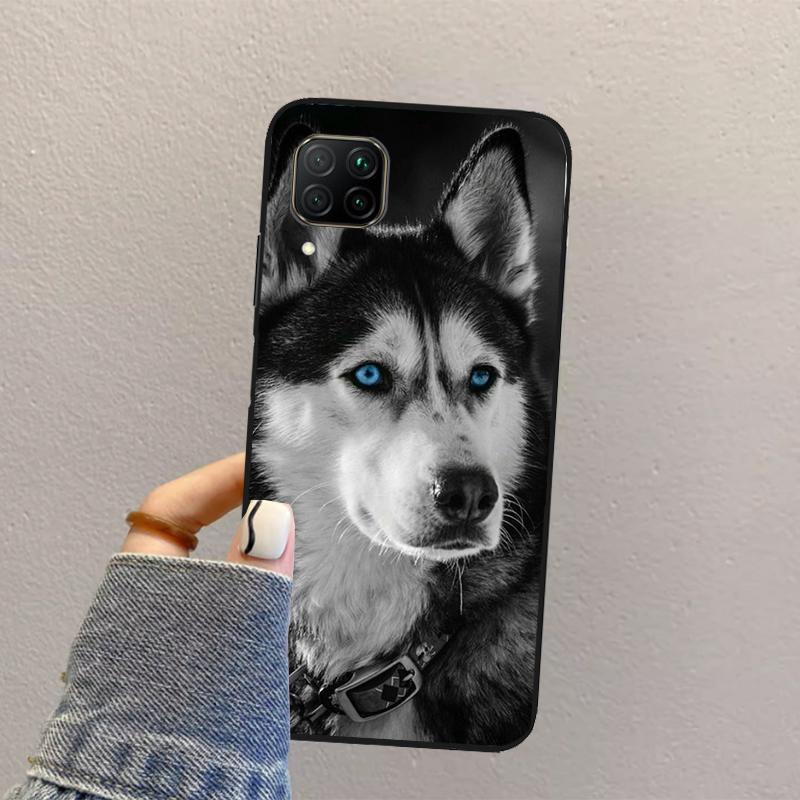 Животное Волк Собака Хаски Для Huawei Nova 10 9 SE 8i 11i 12i 12s Y60 Y61 Y70 Y90 Y72 Y73 Y91 P60 Pro P40 P30 Lite Чехол Huawei P30 Pro
Животное Волк Собака Хаски Для Huawei Nova 10 9 SE 8i 11i 12i 12s Y60 Y61 Y70 Y90 Y72 Y73 Y91 P60 Pro P40 P30 Lite Чехол Huawei P30 Pro
