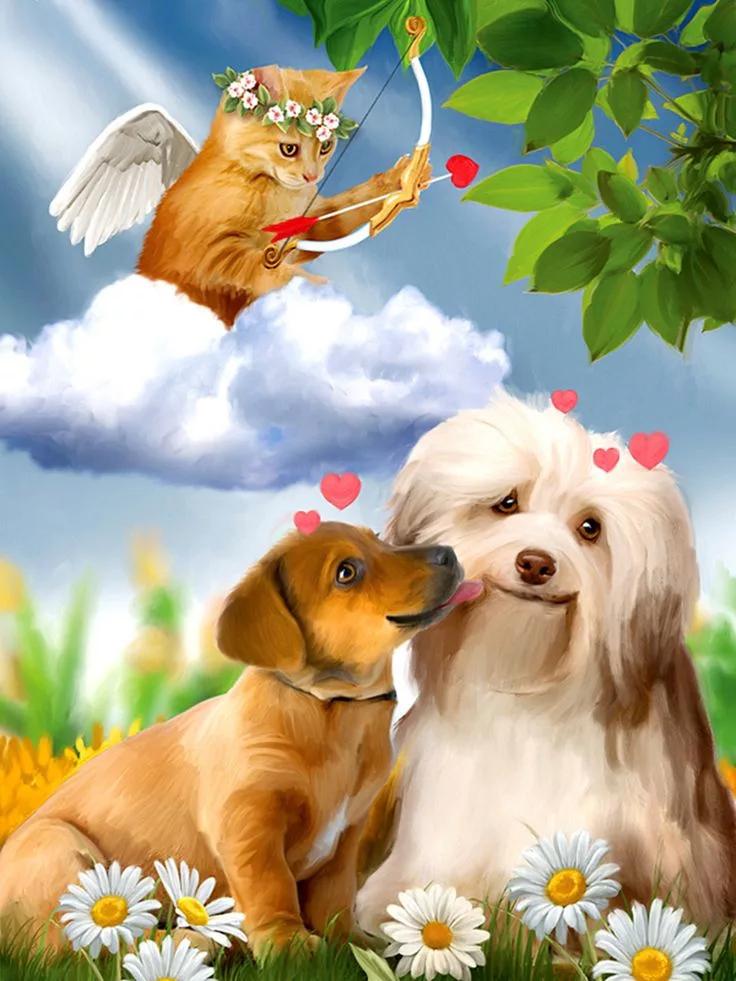 Новое поступление алмазная живопись собака животное вышивка крестом 5D цветок мозаика кошка вышивка бисером кролик животное декор для дома Full Round 20x30CM
Новое поступление алмазная живопись собака животное вышивка крестом 5D цветок мозаика кошка вышивка бисером кролик животное декор для дома Full Round 20x30CM