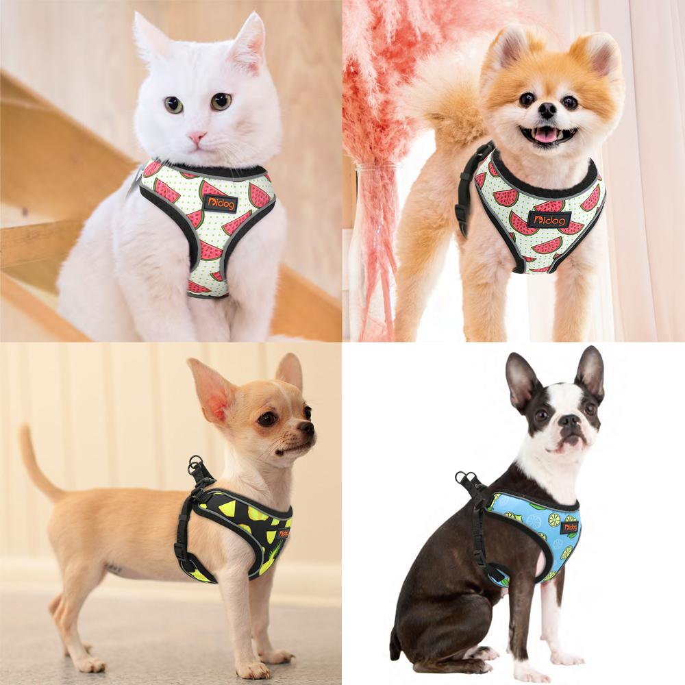 Cute Dog Cat Harness Fruit Printed Puppy Pet Harness Nylon Mesh Small Dogs Chihuahua Harness Vest Reflective for Yorkshire XS синий
Cute Dog Cat Harness Fruit Printed Puppy Pet Harness Nylon Mesh Small Dogs Chihuahua Harness Vest Reflective for Yorkshire XS синий