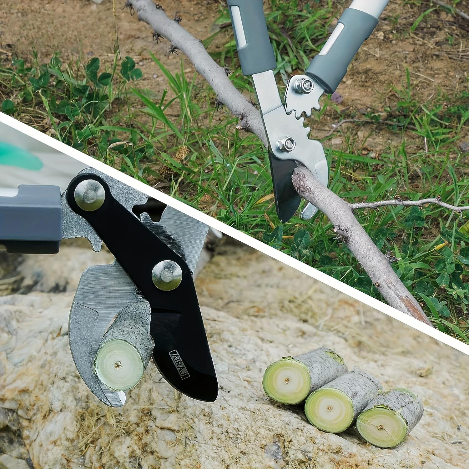 Professional Pruning Shears for Gardening and Bonsai with 3.5cm Maximum Opening
Professional Pruning Shears for Gardening and Bonsai with 3.5cm Maximum Opening