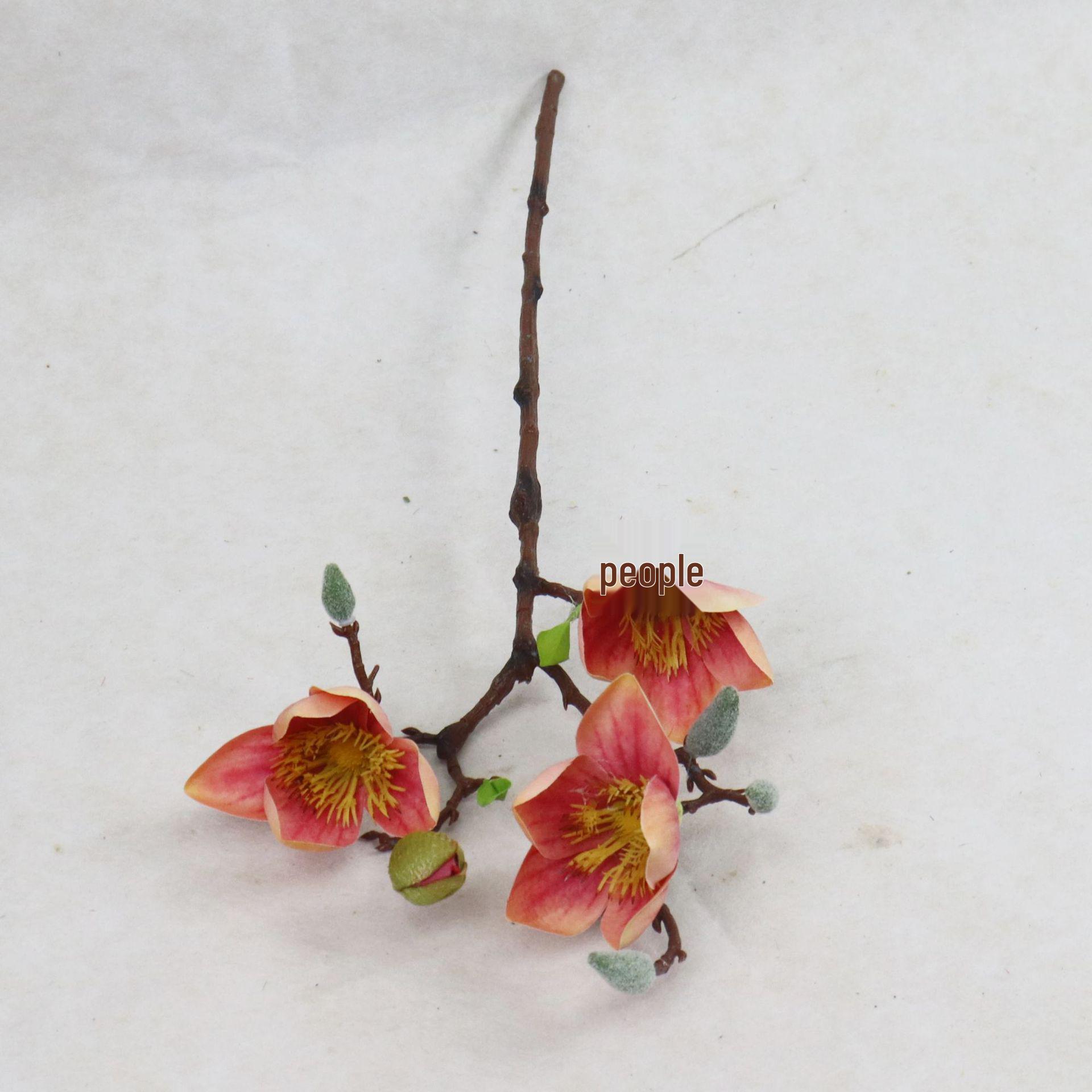 Argentinian Kapok Magnolia Artificial Flower for Decoration and Photography Length 53CM рожевий червоний колір
Argentinian Kapok Magnolia Artificial Flower for Decoration and Photography Length 53CM рожевий червоний колір
