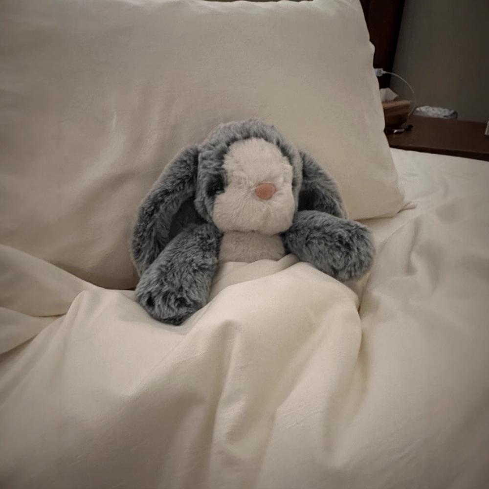 Red Ribbon Smoky Bunny Plush: Soothing Sleep Companion & Birthday Gift for Children 36cm 0.21kg
Red Ribbon Smoky Bunny Plush: Soothing Sleep Companion & Birthday Gift for Children 36cm 0.21kg