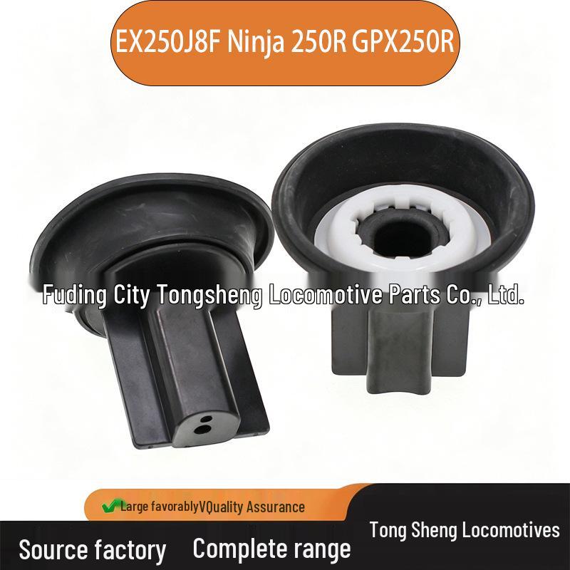 Kawasaki Ninja 250R EX250J8F Carburetor Repair Kit (2-Pack) Advisory Service
Kawasaki Ninja 250R EX250J8F Carburetor Repair Kit (2-Pack) Advisory Service