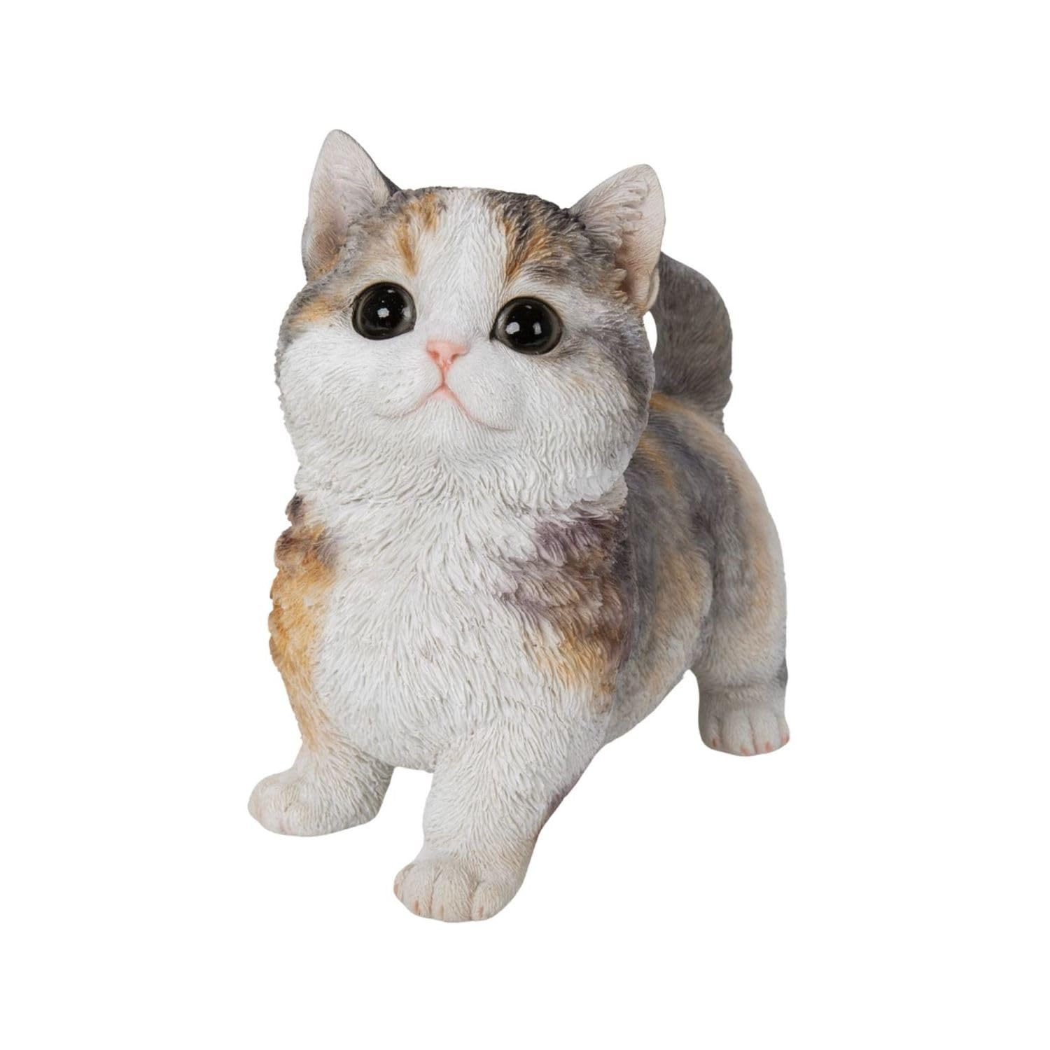 Woobia Munchkin Brown Black and White 16 x x 15cm Doll Figure Ornament Animal Garden Decoration Cat 8.5 H24086-1
Woobia Munchkin Brown Black and White 16 x x 15cm Doll Figure Ornament Animal Garden Decoration Cat 8.5 H24086-1