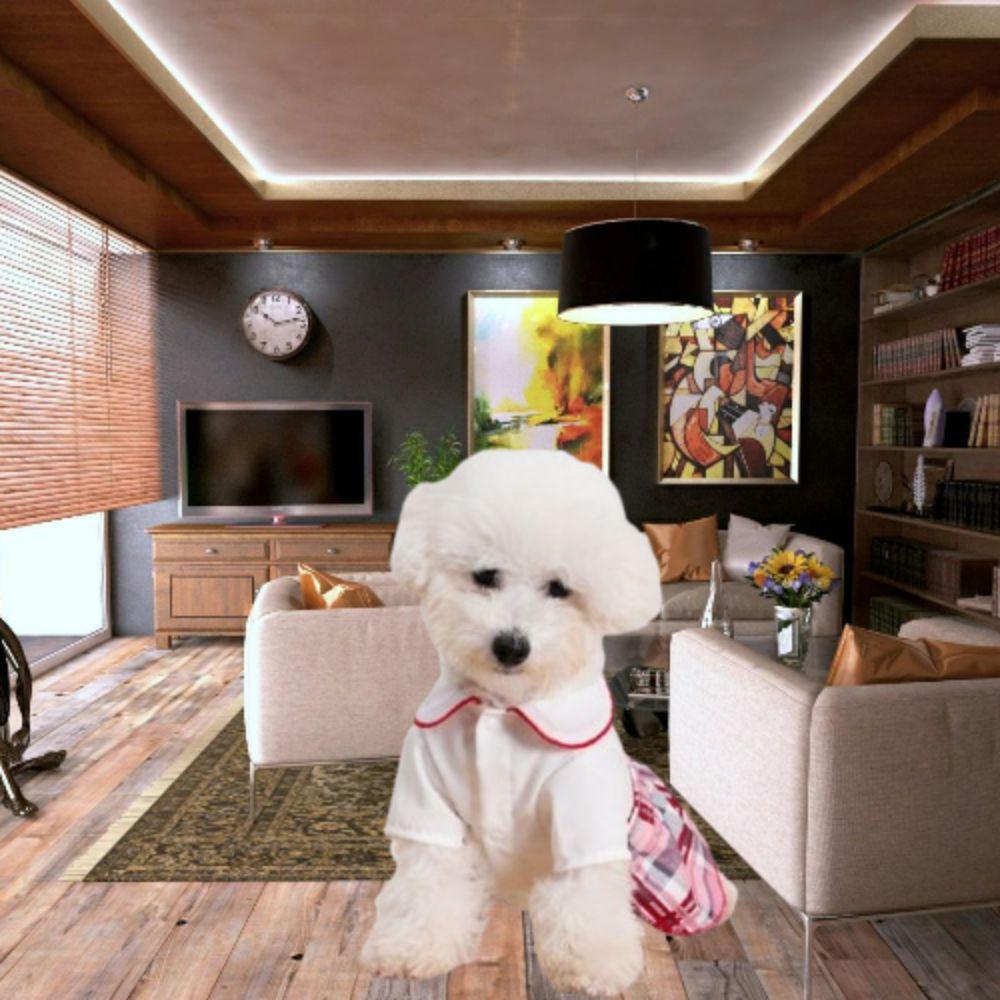 Washable Dog Plaid Shirt Skirt Comfortable Pet Dress Creative Dog Costume Skirt Spring Summer M
Washable Dog Plaid Shirt Skirt Comfortable Pet Dress Creative Dog Costume Skirt Spring Summer M