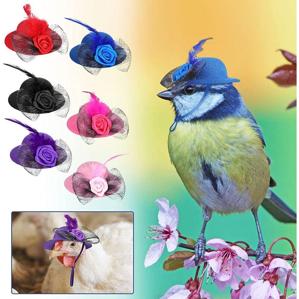 Parrot Duck Elastic Strap Rooster Chicken Hats Pets Supplies Cap for Hens Feather Top Hat рожевий
Parrot Duck Elastic Strap Rooster Chicken Hats Pets Supplies Cap for Hens Feather Top Hat рожевий