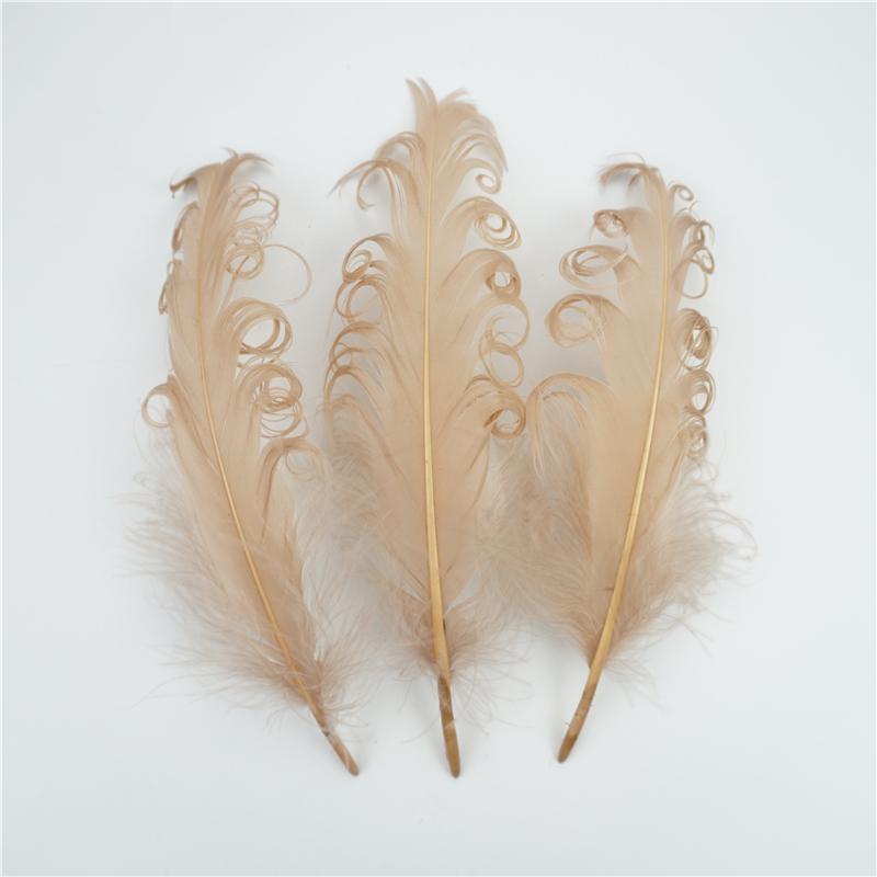 20Pcs Colored Spiral Goose Feathers for Crafts 12-18cm Dream Catcher Feather Artificial Decoration DIY Wedding Party Accessories
20Pcs Colored Spiral Goose Feathers for Crafts 12-18cm Dream Catcher Feather Artificial Decoration DIY Wedding Party Accessories