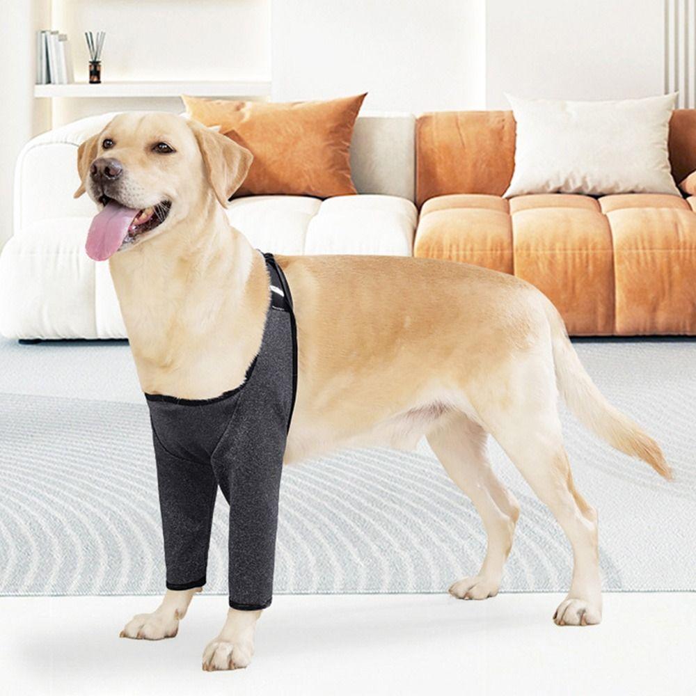 Adjustable Dog Leg Support Sleeve Breathable Dog Knee Pads Dog Elbow Protector For Dog Front Leg S
Adjustable Dog Leg Support Sleeve Breathable Dog Knee Pads Dog Elbow Protector For Dog Front Leg S